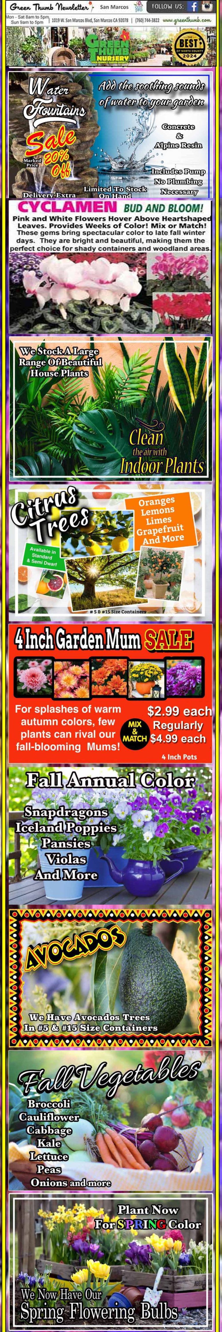 A colorful, vertically stacked advertisement displays sections for various plants, sales, garden mums, annual flowers, avocados, and spring-flowering bulbs with text and images of each.