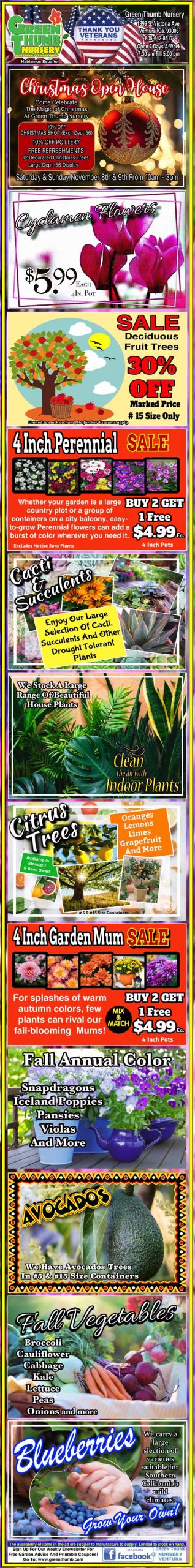 Colorful vertical flyer displaying various plant and fruit sale advertisements, including orchids, perennials, garden mums, succulents, watermelons, and blueberries.