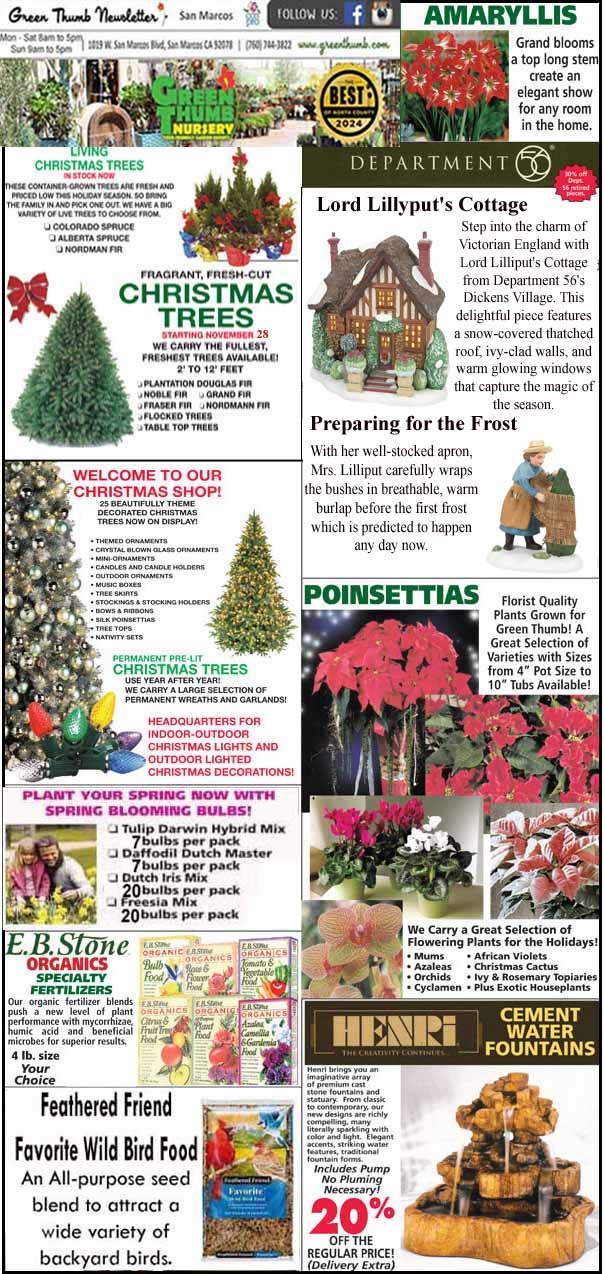 A garden center newsletter page featuring Christmas trees, poinsettias, amaryllis, gardening tips, wild bird food, and an ad for outdoor fountains.