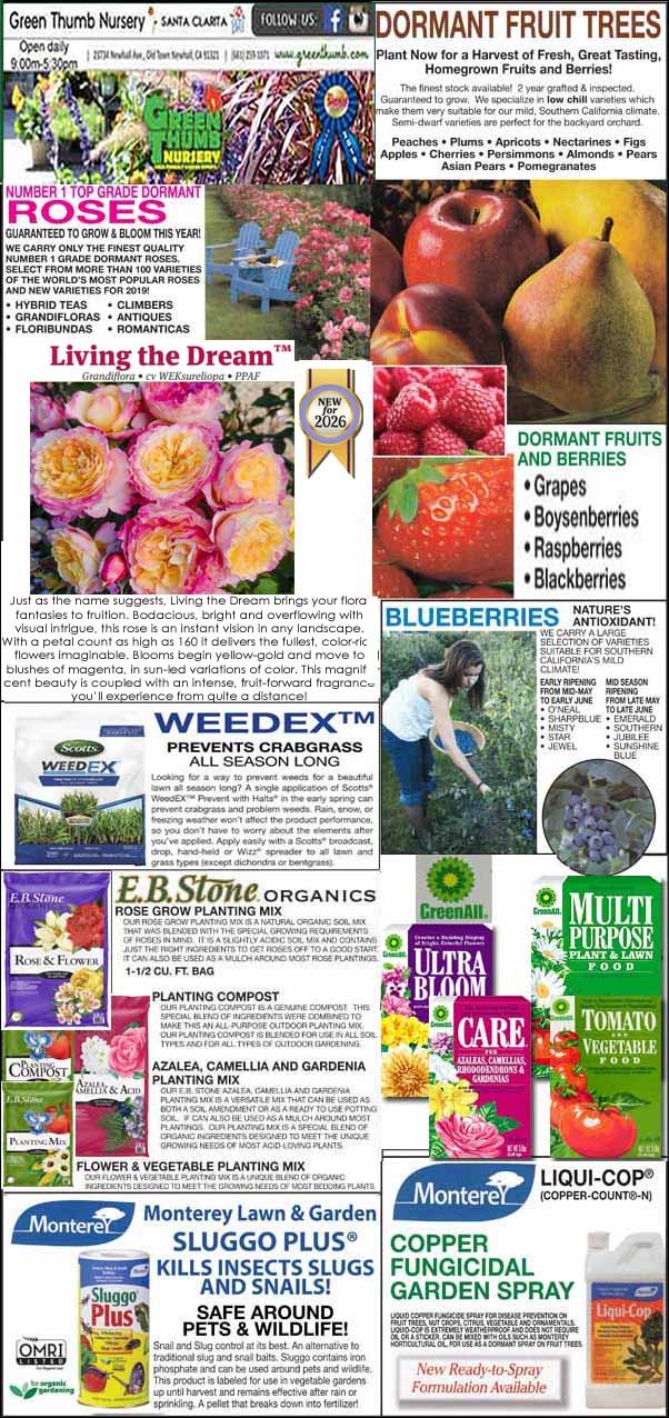 Collage of gardening ads featuring fruit trees, berries, flowers, plant care products, and pest control, with colorful images and text promoting different brands and gardening tips.