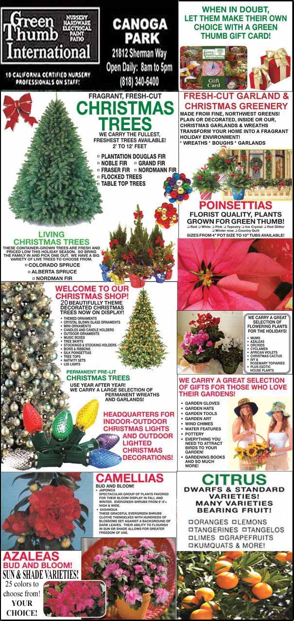 A holiday-themed flyer from Green Thumb International advertises Christmas trees, garlands, poinsettias, living trees, camellias, citrus trees, and azaleas, with store hours and contact info.