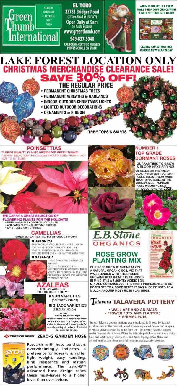 Promotional flyer for Green Thumb International featuring Christmas merchandise clearance, plants, flowers, roses, garden supplies, pottery, and store information for the Lake Forest location.