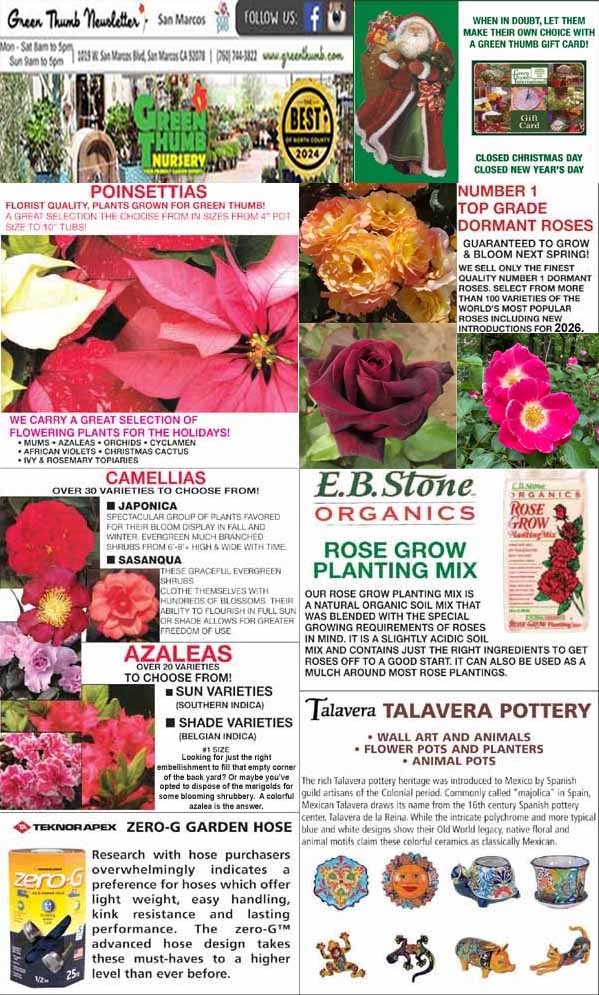 A garden center newsletter features ads for poinsettias, camellias, azaleas, rose planting mix, garden hoses, pottery, and holiday gift cards, with images of flowers and products.