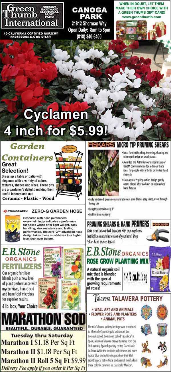 Flyer for Green Thumb International advertising cyclamen plants, garden containers, tools, soil, sod, pottery, and contact information for the Canoga Park location.