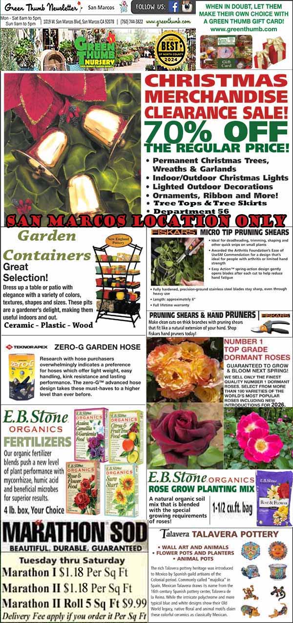 Promotional flyer for Green Thumb Nursery advertising a Christmas clearance sale, gardening supplies, plants, soils, tools, and special deals at the San Marcos location.