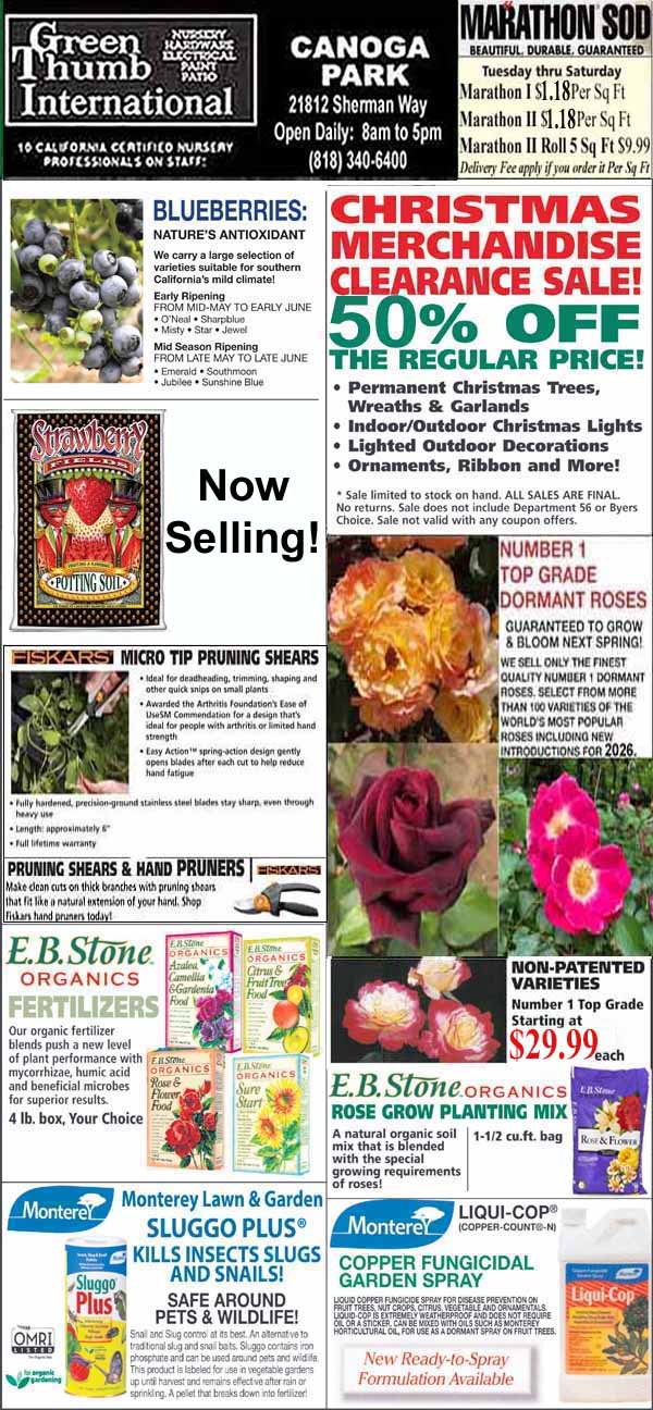 A collage of garden store ads featuring Christmas sale details, blueberry and strawberry plants, pruning shears, fertilizers, and pest control products, with business hours and contact info.