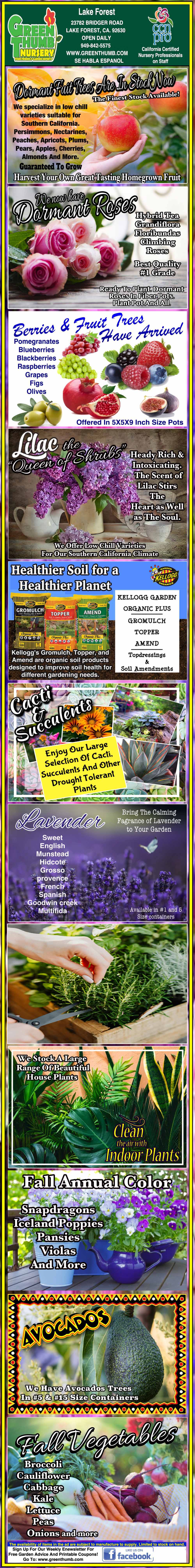 A vertical collage of various banners showcasing different fruit and flower plants, including dragon fruit, figs, mulberries, grapes, strawberries, and exotic flowers, with vivid colors and text.