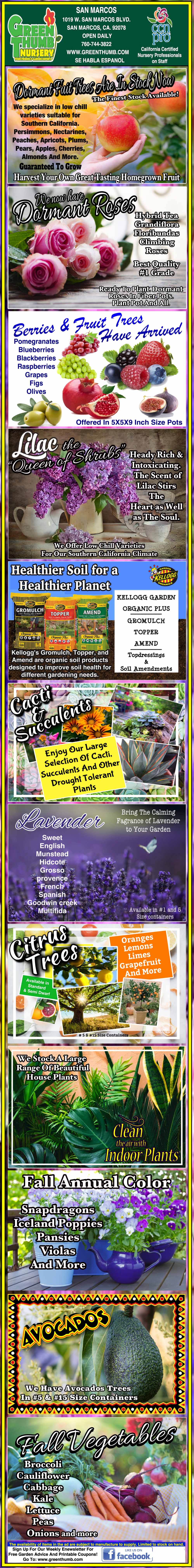 Vertical collage of garden seed packet ads featuring images and descriptions of onions, eggplant, lettuce, squash, celery, lavender, leeks, green beans, dill, and flowers.