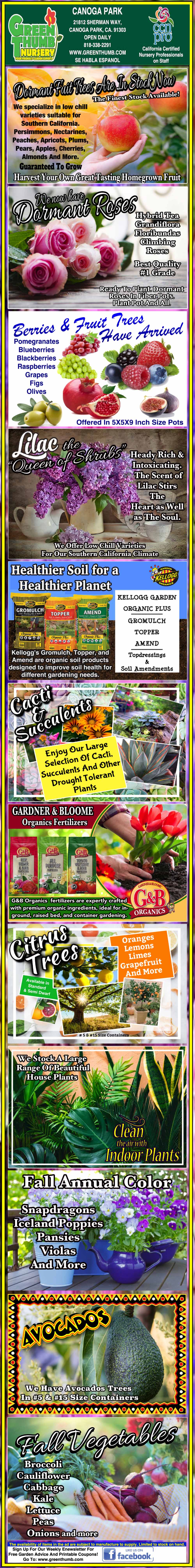 Colorful vertical flyer listing fruits and vegetables to plant in April, May, and June in Trinidad and Tobago, with images, planting tips, and agricultural ministry logos.