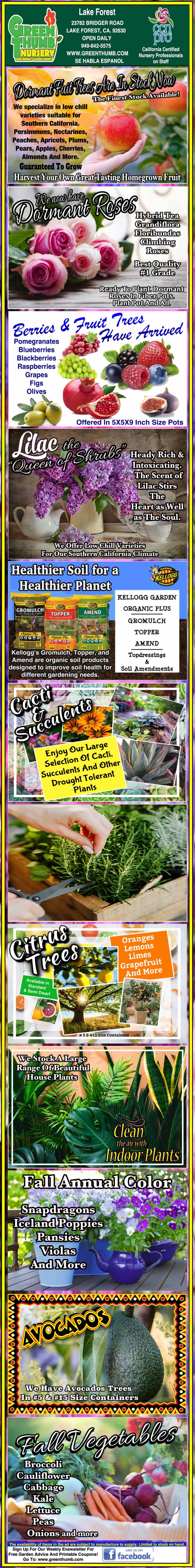 Infographic listing vegetables and herbs to plant in June in the Philippines, with images and brief descriptions for each plant, including onions, basil, lettuce, and eggplant.