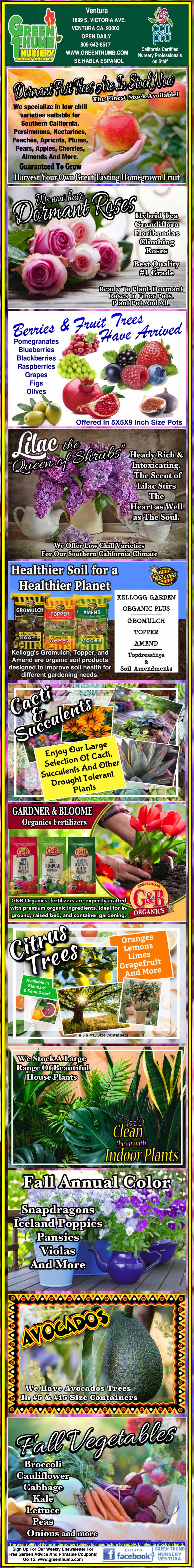 A colorful vertical flyer displays various fruit and vegetable seeds, plant images, and descriptions for a seed and garden supply company.