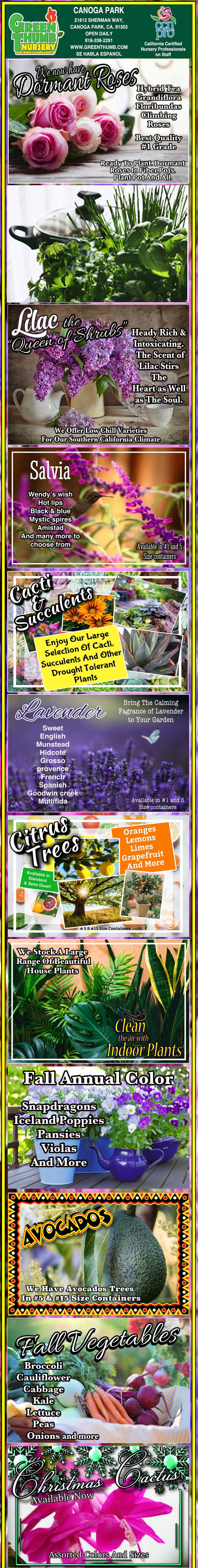 A vertical collage of various purple plants, each labeled with its name and description, including flowers, herbs, and vegetables, against colorful backgrounds.