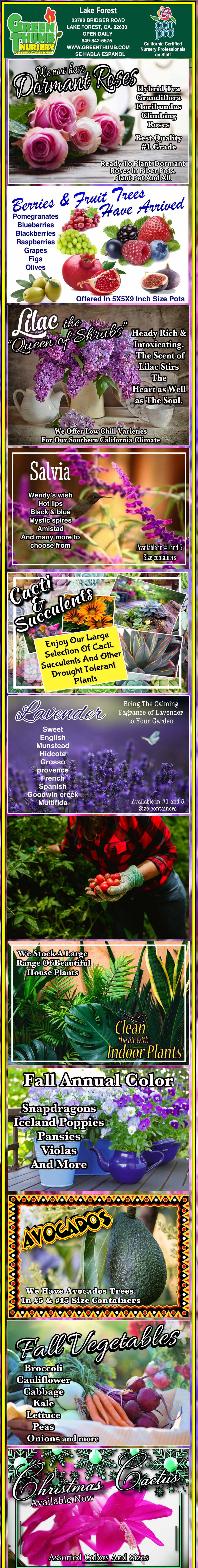 Colorful vertical gardening flyer featuring images and names of various flowers and plants, including Desert Rose, Lilac, Salvia, Artichoke, Dianthus, Dahlia, and Epiphyllum.
