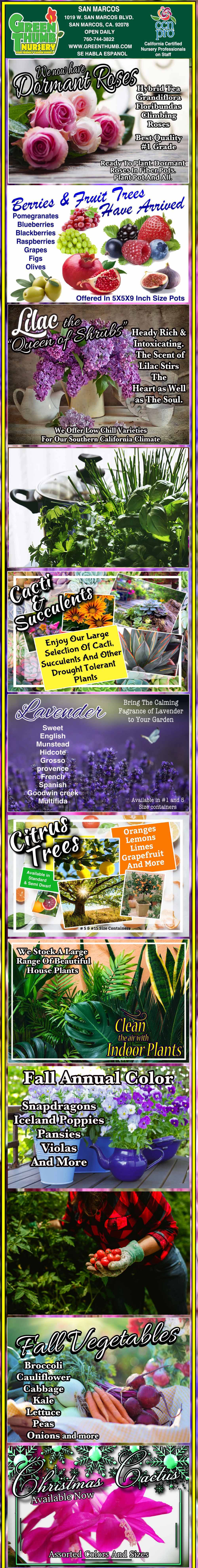 A vertical collage advertises lilies, tulips, lilacs, agapanthus, hostas, and gloxinias with images, planting tips, and text highlighting features and gardening advice.