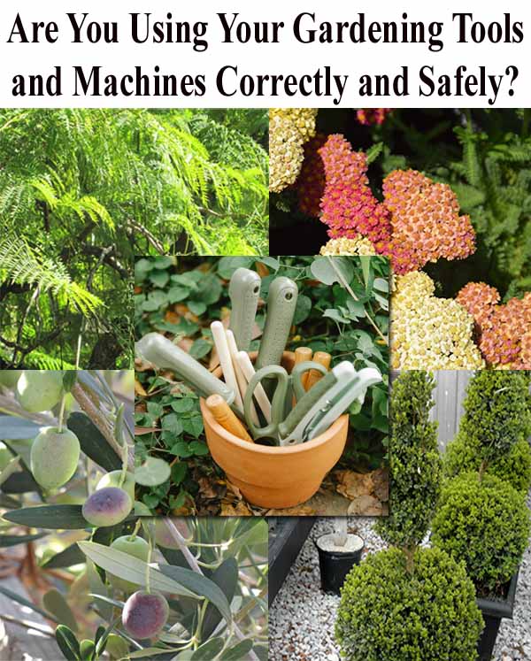 A collage showing various plants, a bowl of gardening tools, and the text: "Are You Using Your Gardening Tools and Machines Correctly and Safely?.