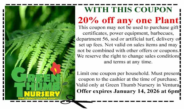 Coupon for Green Thumb Nursery offering 20% off any one plant, with exclusions and restrictions. Offer expires January 14, 2026, at 6pm. Green fern background on the left.