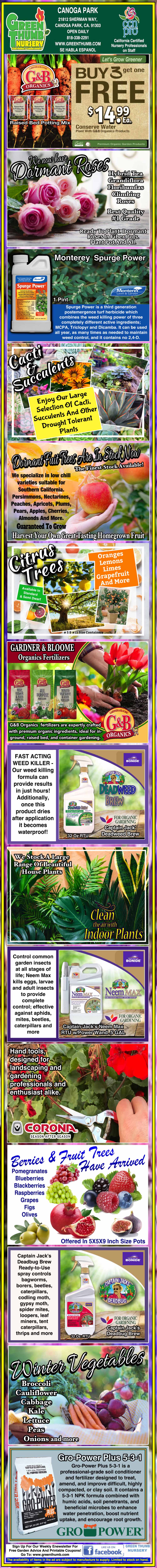 Infographic describing the benefits of rice hull as fertilizer, mulch, and pest repellent, with images of plants, rice hull, gardens, and related product packaging.