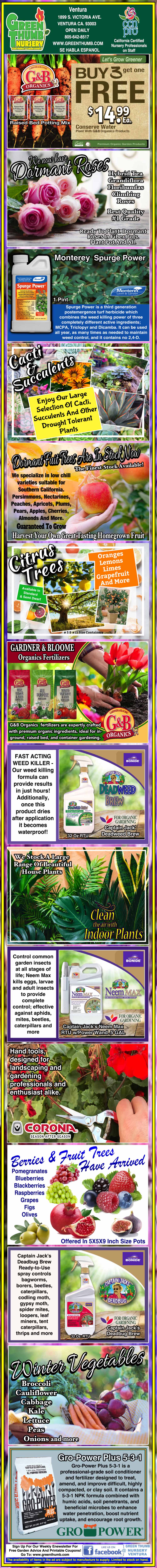 Colorful promotional flyer displaying various gardening products, tips for plant care, and discounts, featuring images of plants, flowers, fertilizers, and a house.