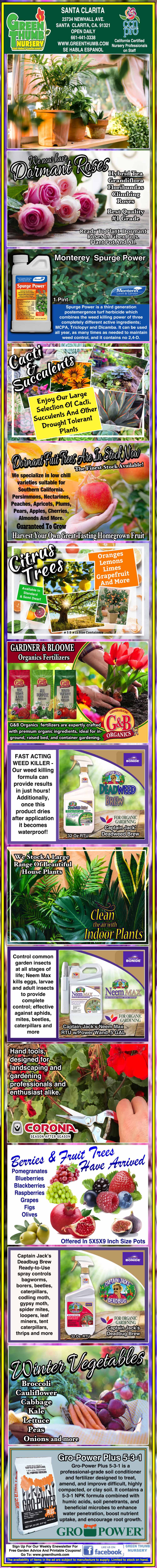 Colorful vertical infographic about fertilizers and nutrients for plants, detailing various types, methods of application, benefits, and recommended products with images of plants and gardens.