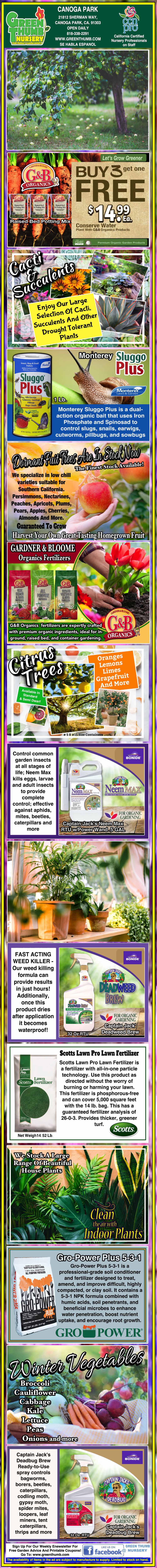 Colorful vertical flyer showing various organic plant and soil products, garden images, product descriptions, benefits, and contact information for Absolute Pure Organics.