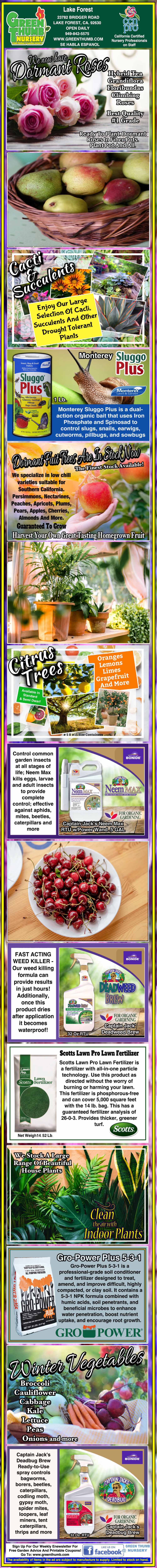 Infographic with images of purple podded pea plants, seeds, pods, and flowers, detailing planting tips, growing conditions, harvesting, and benefits of purple podded peas.