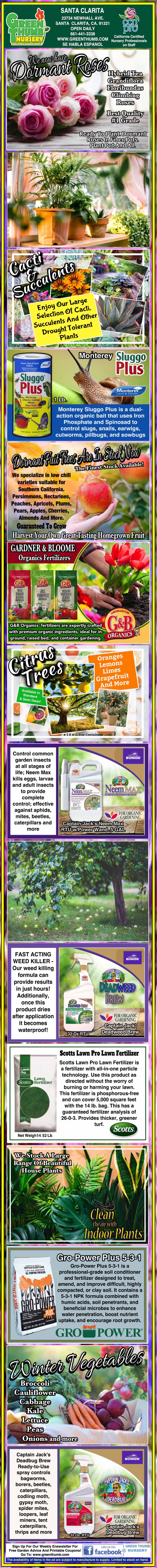 Colorful vertical gardening infographic featuring images of vegetables, fruits, fertilizer bags, plants, and gardening products, along with text tips and product descriptions.