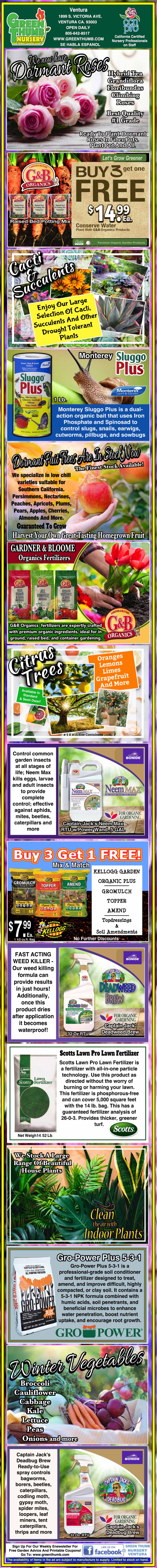 A vertical collage advertises onion seeds, fertilizers, garden tools, pots, peat moss, watering cans, soil, and other gardening products with images, descriptions, and prices.