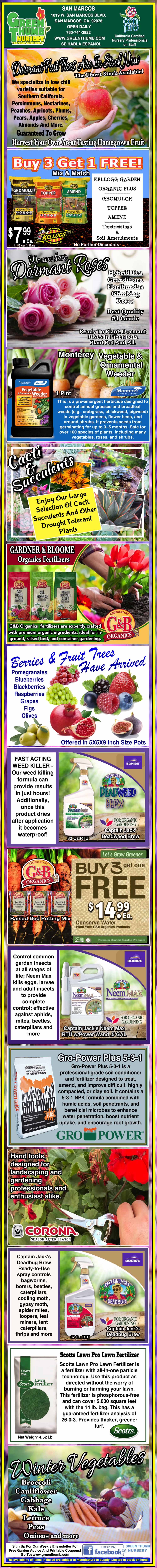 Infographic explaining how to grow flowering hibiscus in pots, showing care tips, soil types, fertilizers, watering instructions, common problems, and visual examples of healthy plants and products.
