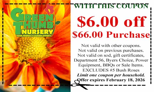 A coupon for Green Thumb Nursery offers $6 off a $66 purchase, excludes #5 Bush Roses, and expires February 18, 2026. Terms and conditions apply.
