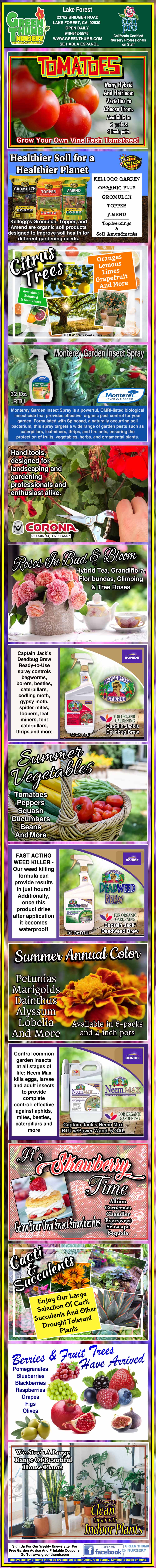 Infographic on tomatoes featuring facts, health benefits, popular varieties, gardening tips, nutritional info, recipes, and trivia, with images of tomatoes and related graphics throughout.