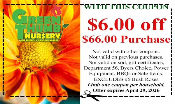Coupon for Green Thumb Nursery offering $6 off a $66 purchase; exclusions apply; one coupon per household; expires April 29, 2026.