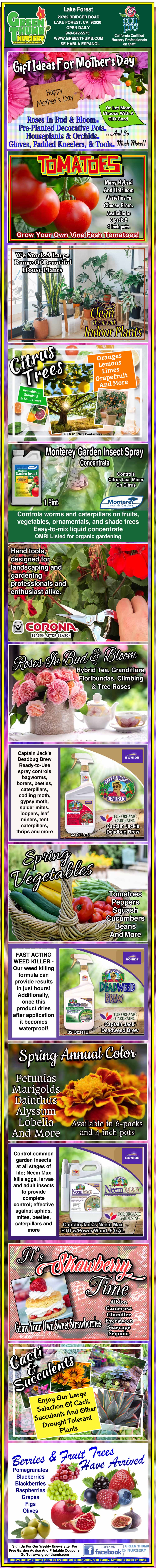 Infographic on winter gardening tips, including using row covers, mulch, cold frames, heating, feeding plants, and growing herbs indoors, with related images for each method.