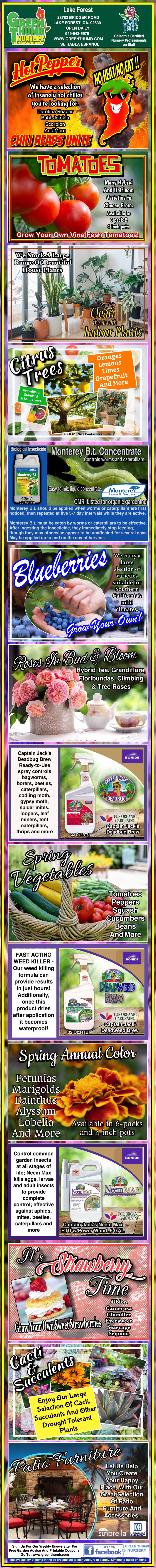 Colorful infographic advertising various berry plants and fruit trees, with images of berries, fruit, and product labels, highlighting planting tips and special offers.