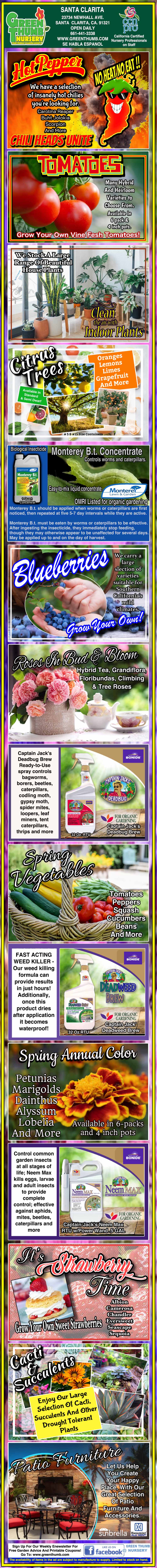 A colorful vertical flyer advertises fruits, vegetables, and vitamins, highlighting health benefits of strawberries, mangoes, blueberries, and related supplements with images and text.