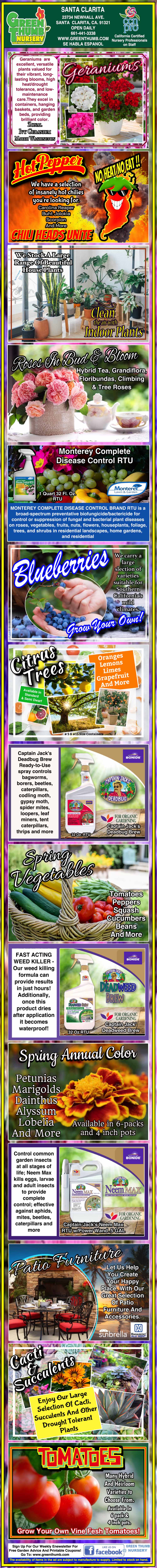 Colorful infographic showcasing various gardening tips for growing vegetables and fruits such as watermelon, blueberries, tomatoes, and general plant care instructions with images and text.