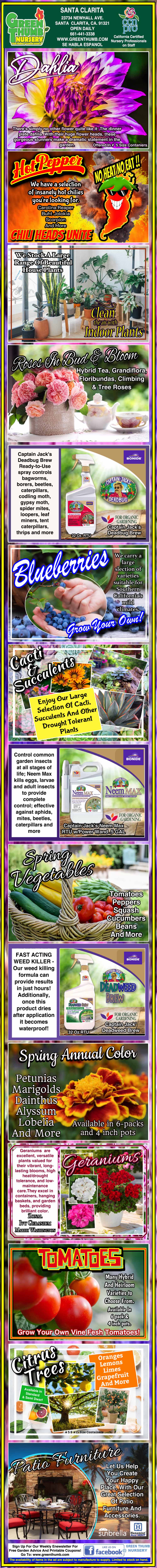 Colorful infographic detailing benefits, growing tips, and interesting facts about various fruits, including mangoes, strawberries, blueberries, cherries, watermelon, plums, grapes, and passionfruit.