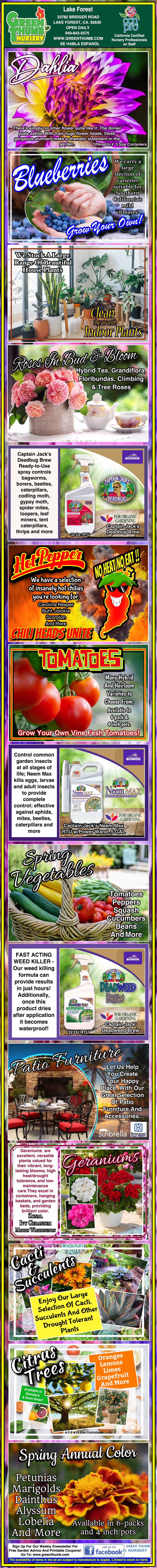 A colorful infographic explains tomatoes, covering types like slicers, paste, cherry, and heirloom tomatoes with images, descriptions, and examples of each variety.