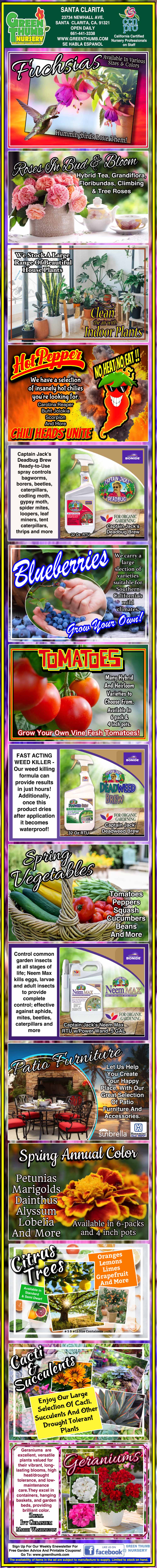 Colorful infographic promoting fruits and vegetables, highlighting health benefits of strawberries, blueberries, tomatoes, and fresh produce, with images and text descriptions for each.