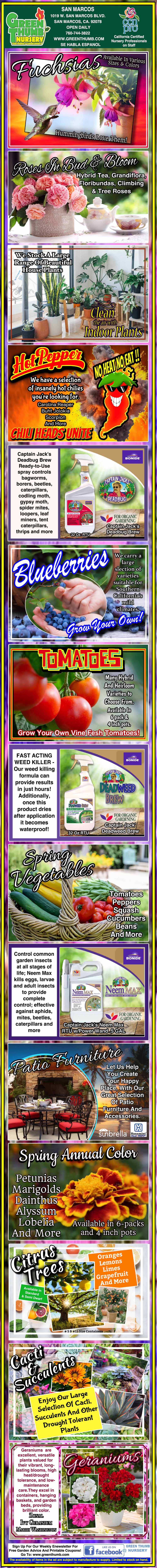 Colorful promotional poster displaying various fruits, including mango, blueberry, and melon, alongside product descriptions, images of orchards, packaging, and contact information.