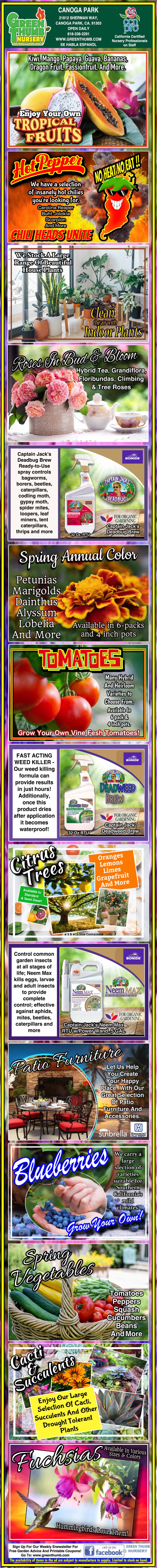 A colorful infographic lists various fruits and vegetables to grow in containers, with images and text describing tips for successful container gardening.