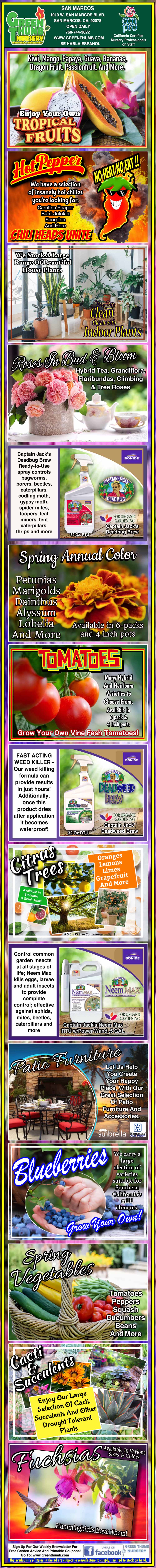 Infographic listing the top 10 healthiest fruits, including avocados, apples, berries, tomatoes, kiwifruit, oranges, papayas, watermelon, blueberries, and pomegranate, with descriptions and images.