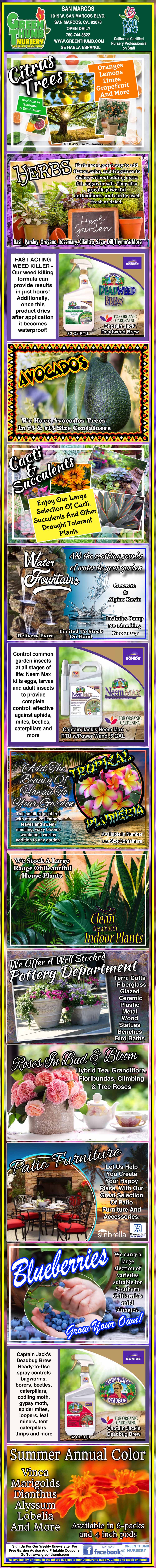 Collage of fruit images with text about fruit growing, including bananas, avocados, guavas, soursop, starfruit, sapodilla, and blueberries, highlighting care tips and fertilizer products.