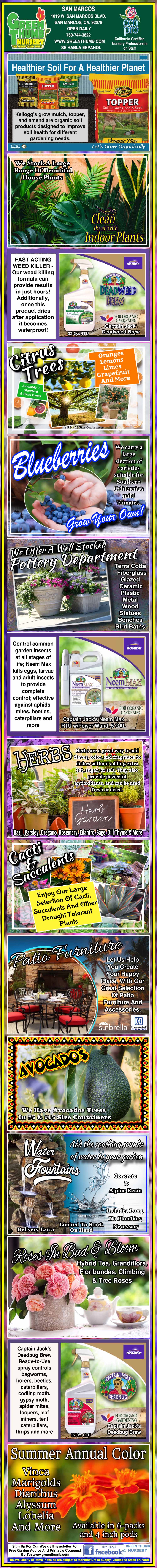 Colorful vertical infographic with photos and text about fruit crops in the Philippines including lanzones, rambutan, durian, blueberry, avocado, and guyabano, plus related agricultural info.