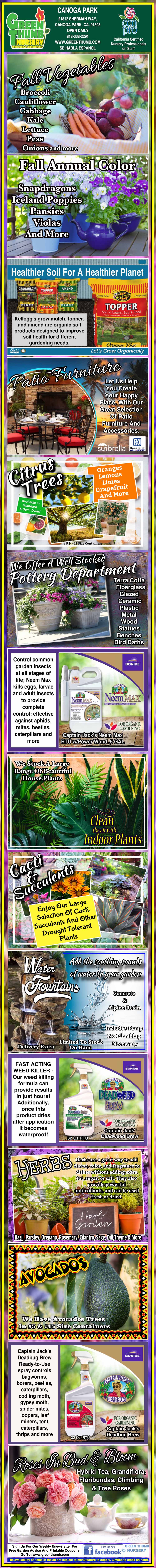 Colorful vertical infographic about Tawas Neem Solution, showing its benefits, application methods, results, and product images for plant pest and disease management.