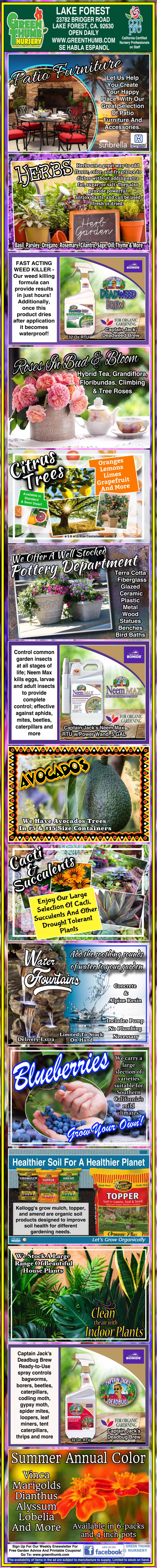 Colorful infographic about mango trees and fruit, organic fertilizer, pest control, and avocado farming, featuring photos, diagrams, and product images, with text in Filipino and English.
