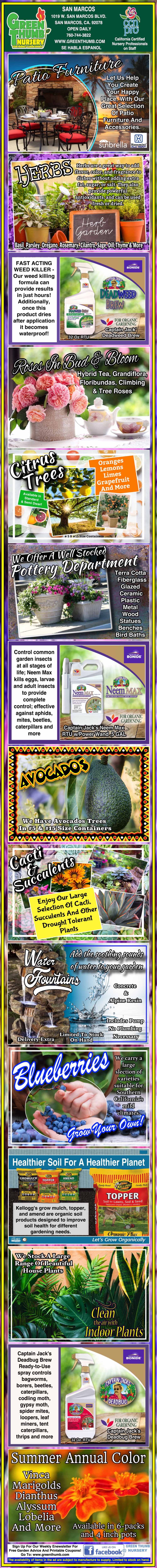 Colorful vertical infographic about avocado farming, covering disease management, recommended chemicals, fruit care, and product images with text in Spanish.