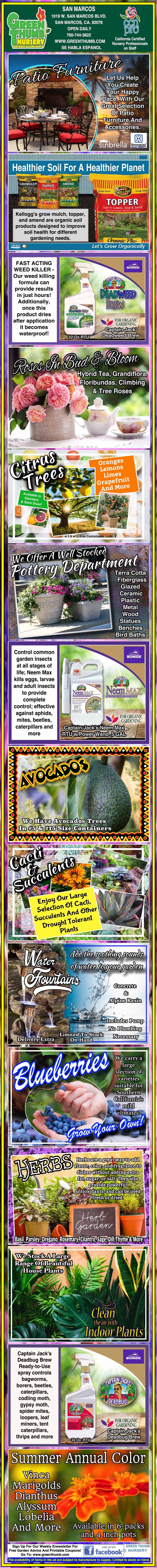 A colorful infographic promotes tropical fruits like avocados and blueberries, describing their health benefits, uses, and growth, with various images and text in Spanish.