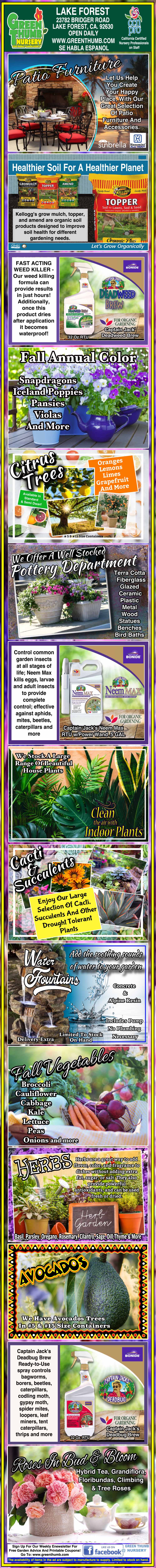 Infographic on eggplant mosaic virus in the Philippines, detailing symptoms, transmission, management methods, and photos of affected plants and control measures.