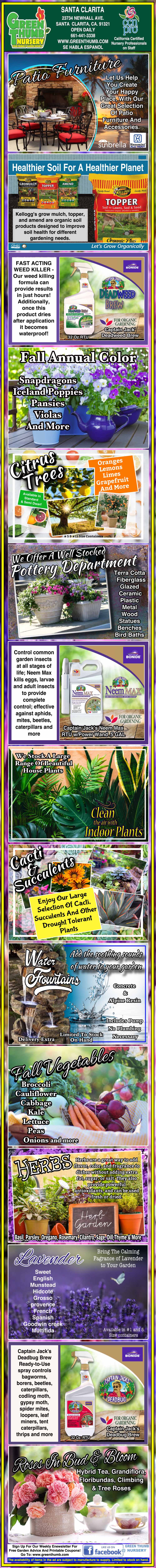 Infographic with text and images describes the use and benefits of a fertilizer product called Black Bag for eggplants, showing application methods, plant health, and crop results.