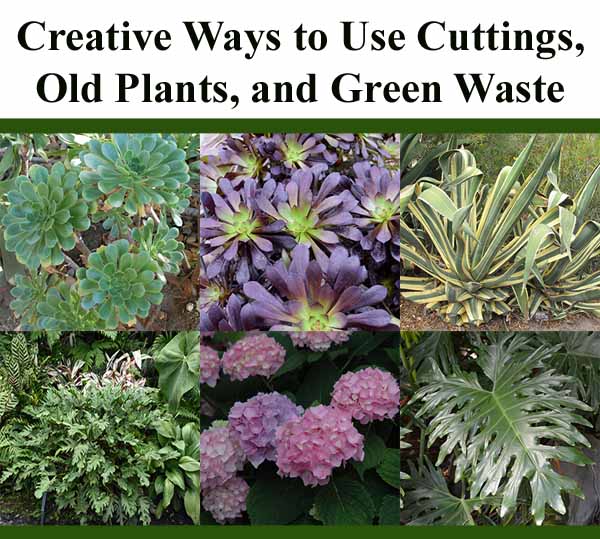 A collage of various plants, including succulents, flowering plants, and foliage, with text about creative ways to use cuttings, old plants, and green waste.